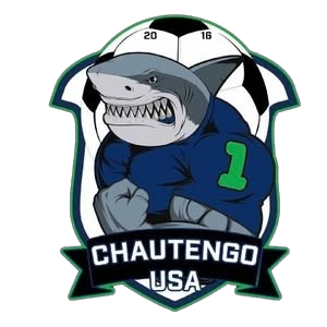 chauteengo logo of shark with soccer ball