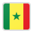 Flag of Senegal with vertical stripes of green, yellow, and red with a green star in the center.