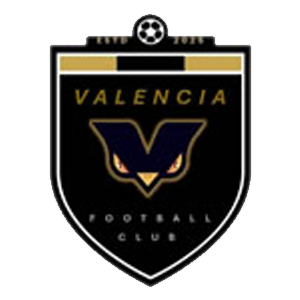black shield with hawk eyes valencia logo